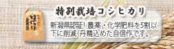 特別栽培コシヒカリのページへ