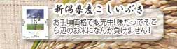 新潟県産こしいぶきのページへ