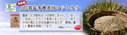 JAS認証有機栽培コシヒカリのぺージへ