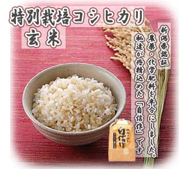 新潟県認証！減農薬・減化学肥料 特別栽培コシヒカリ玄米のページ
