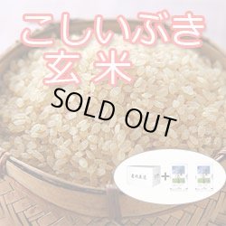 画像2: 【新米入荷！】令和4年新潟産こしいぶき玄米10ｋｇ（5kg×2個)