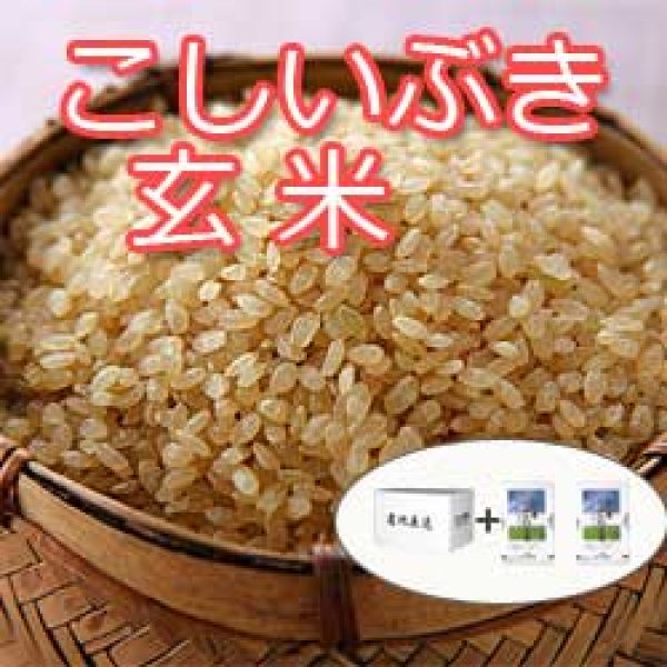 新潟県産こしいぶき玄米10kg(5kg×2個)