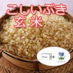 画像2:  【新米予約】 9月中旬頃発送！令和7年新潟産こしいぶき玄米5ｋｇ (2)