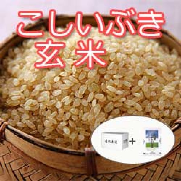 定期購入 新潟県産こしいぶき玄米10kg