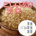 画像2: 【定期購入】令和7年新潟産こしいぶき玄米30kg(5kg×6個) (2)