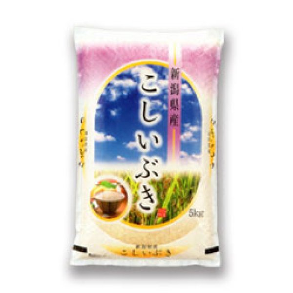 新潟県産こしいぶき精米10kg