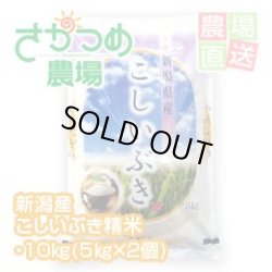 画像1: 【在庫が無くなり次第終了】令和6年新潟産こしいぶき精米 10kg（５ｋｇ×２個）