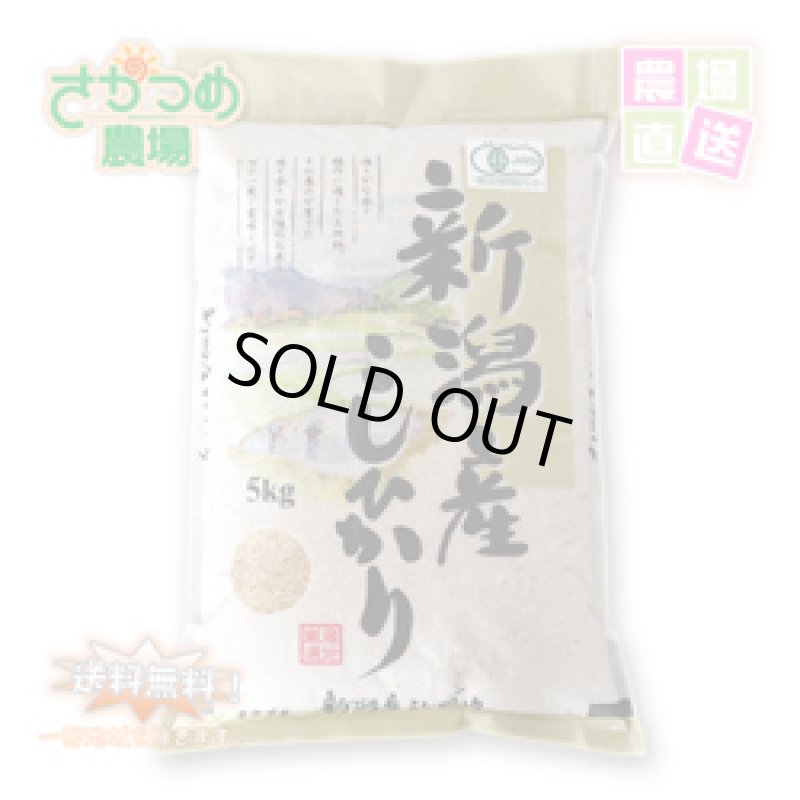 画像1: 【新米入荷】令和7年新潟産有機栽培コシヒカリ精米5kg (1)