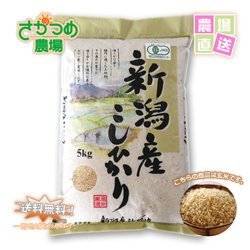 画像1: 【新米予約】 10月中旬頃発送！令和7年新潟産有機栽培コシヒカリ玄米5kg