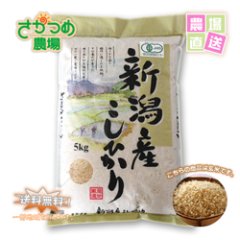 【新米入荷】令和7年新潟産有機栽培コシヒカリ玄米20kg(5kg×4個)