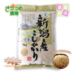 画像1: 【新米入荷！】令和5年新潟産有機栽培コシヒカリ玄米20kg(5kg×4個)