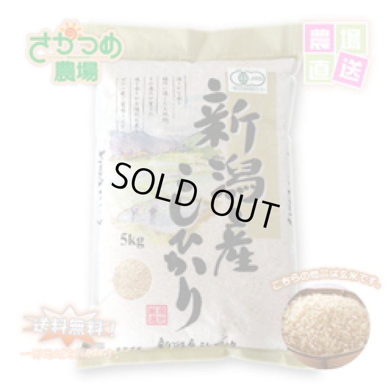 画像1: 【新米入荷】令和7年新潟産有機栽培コシヒカリ玄米5kg (1)