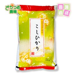 画像1: 【新米予約】 9月下旬頃発送！ 令和7年新潟産特別栽培コシヒカリ精米10kg( 5kg×2個)