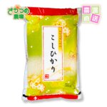 画像1: 【新米予約】 令和8年新潟産特別栽培コシヒカリ精米20kg( 5kg×4個) (1)