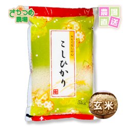 画像1: 【新米予約】 9月下旬頃発送！ 令和7年新潟産特別栽培コシヒカリ玄米15kg(5kg袋×3個入)