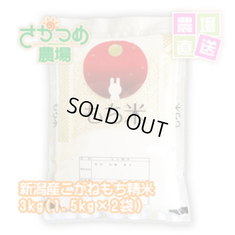画像1: 【新米入荷】令和7年新潟産こがねもち精米3kg(1.5kg×2袋) (1)