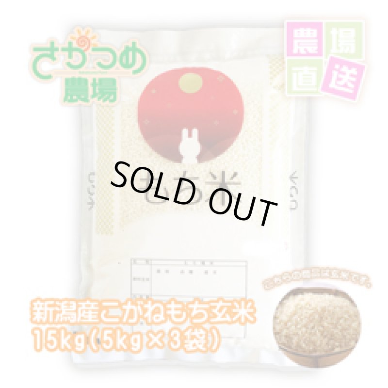画像1: 【新米入荷】令和7年新潟産こがねもち玄米15kg(5kg×3袋) (1)
