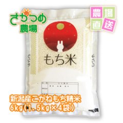【新米入荷】令和7年新潟産こがねもち精米6kg(1.5kg×4袋)