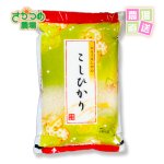 画像1: 【定期購入】令和7年産新潟産特別栽培コシヒカリ精米20kg ( 5kg袋×4 ） (1)