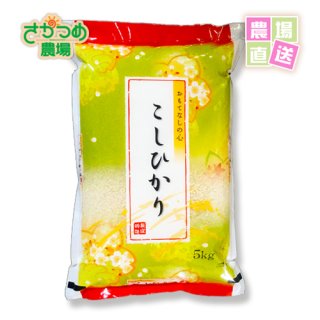 コシヒカリ　20kg　特別栽培米 定期購入 新潟産特別栽培コシヒカリ精米20kg