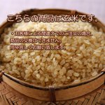 画像2: 【定期購入】令和7年新潟産有機栽培コシヒカリ玄米5kg (2)