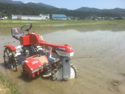 機械除草"