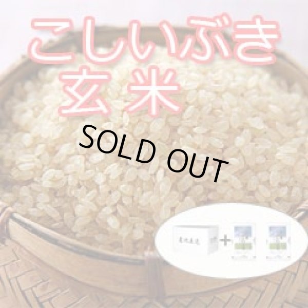 画像2: 【新米入荷！】令和5年新潟産こしいぶき玄米10ｋｇ（5kg×2個)