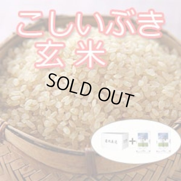 画像2: 【在庫が無くなり次第終了】令和6年新潟産こしいぶき玄米10ｋｇ（5kg×2個)