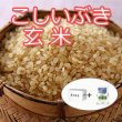 画像2:  【新米予約】 9月中旬頃発送！令和7年新潟産こしいぶき玄米5ｋｇ
