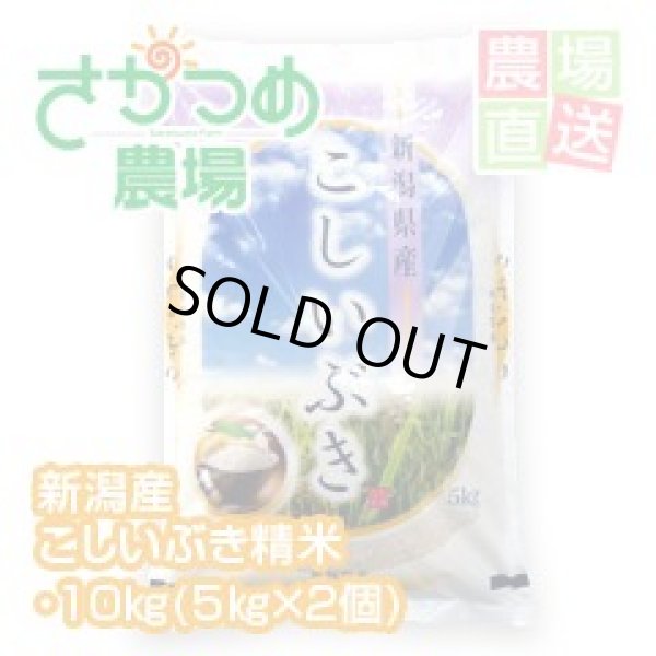画像1: 【在庫が無くなり次第終了】令和6年新潟産こしいぶき精米 10kg（５ｋｇ×２個）