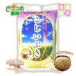 画像1: 【在庫が無くなり次第終了】令和6年新潟産こしいぶき玄米10ｋｇ（5kg×2個)