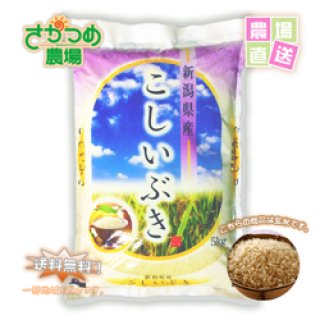 【在庫が無くなり次第終了】令和6年新潟産こしいぶき玄米10ｋｇ（5kg×2個)
