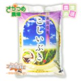 【新米入荷！】令和5年新潟産こしいぶき 精米5kg