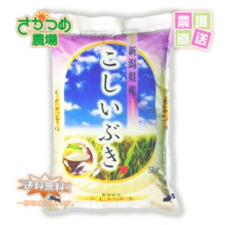 【在庫が無くなり次第終了】令和6年新潟産こしいぶき 精米5kg