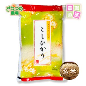特別栽培コシヒカリ玄米20kg(5kg×4個入)