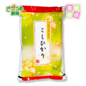 画像: 【新米予約】9月下旬頃発送！  令和7年新潟産特別栽培コシヒカリ精米15kg( 5kg×3個)