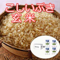 画像2: 【新米予約】 9月中旬頃発送！令和7年新潟産こしいぶき玄米20kg(5kg×4個)